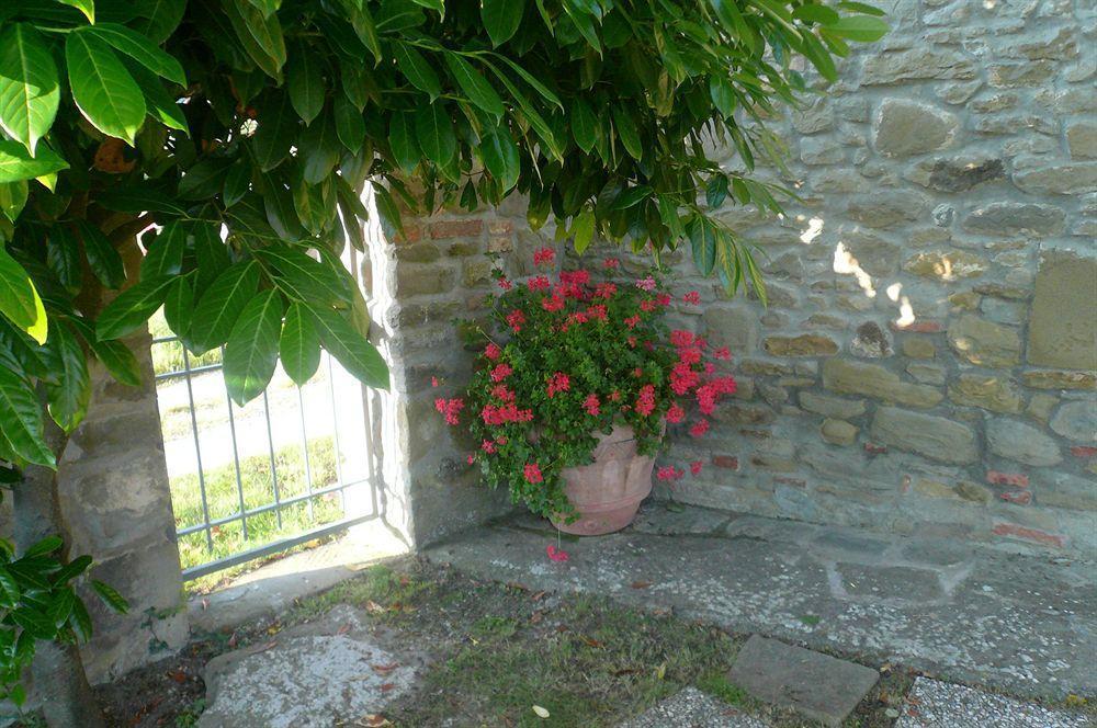 Il Gelso Διαμέρισμα Κορτόνα Εξωτερικό φωτογραφία
